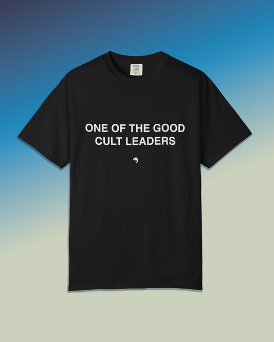 T-Shirt — “One of the Good Cult Leaders” Minimal Graphic Tee
